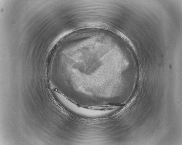 X0000087681019200705251638