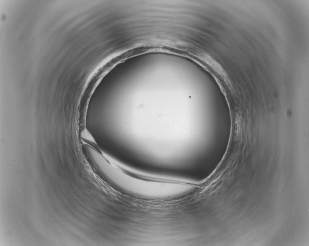 X0000087681020200705251638