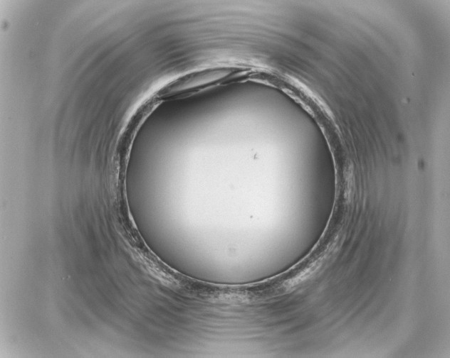 X0000087681021200705251638