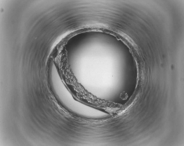 X0000087681022200705251638