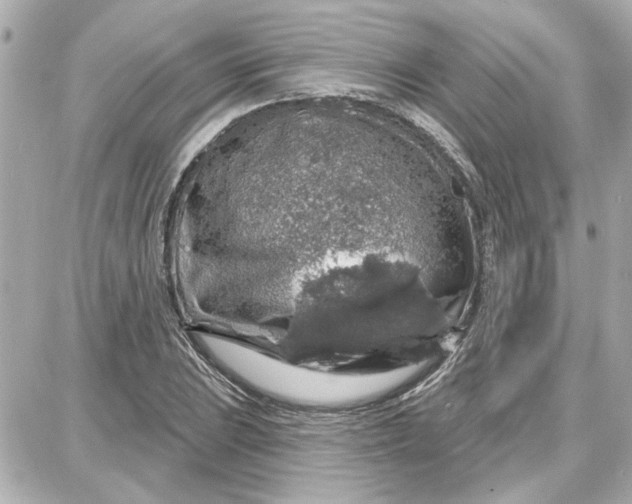 X0000087681023200705251638