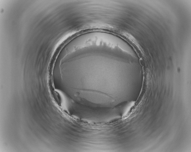 X0000087681024200705251638