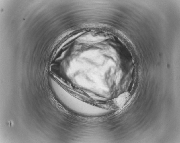 X0000087681025200705251638