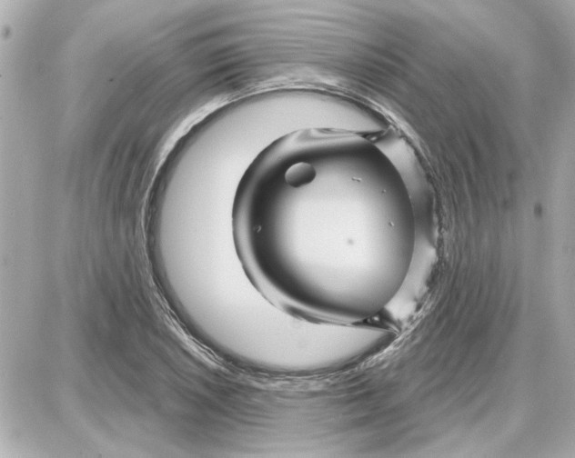 X0000087681026200705251638