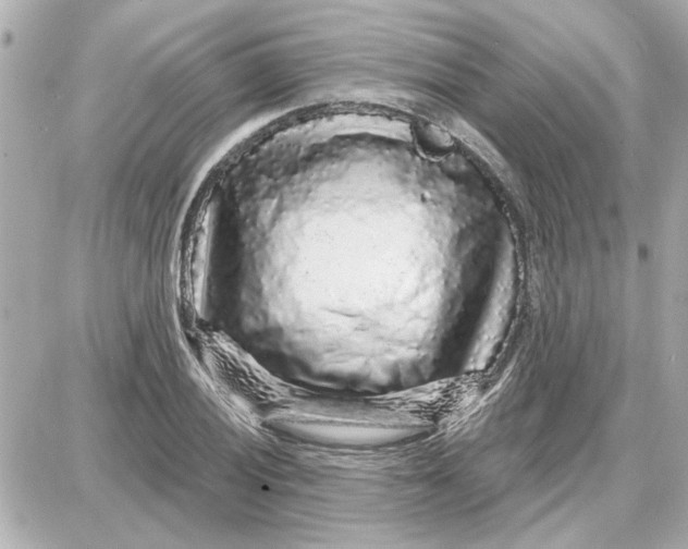 X0000087681028200705251638