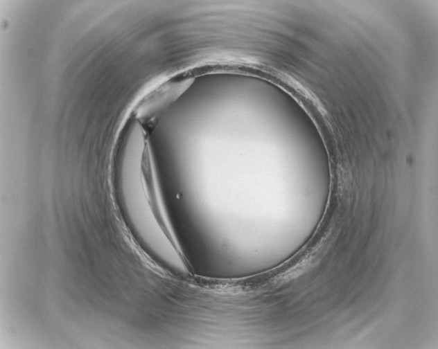 X0000087681029200705251638