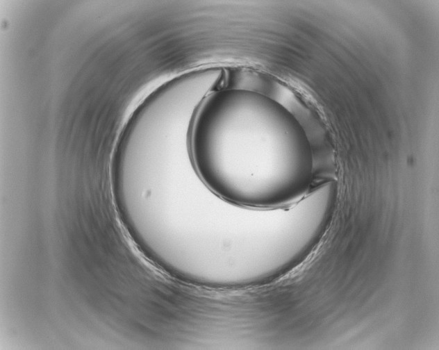 X0000087681030200705251638