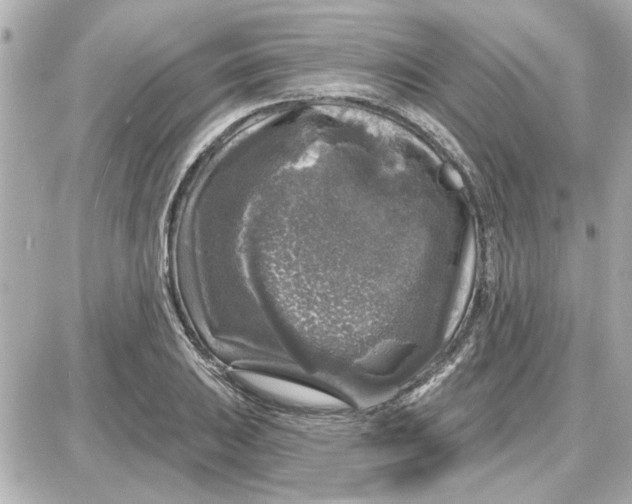 X0000087681031200705251638