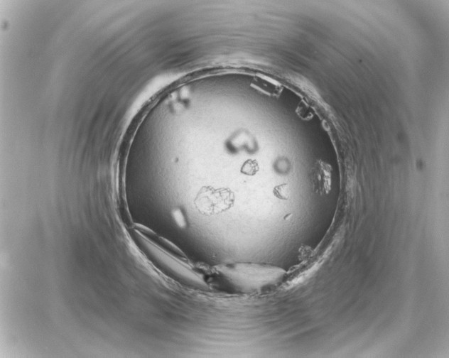 X0000087681032200705251638