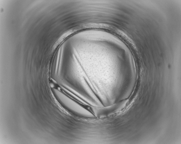 X0000087681033200705251639