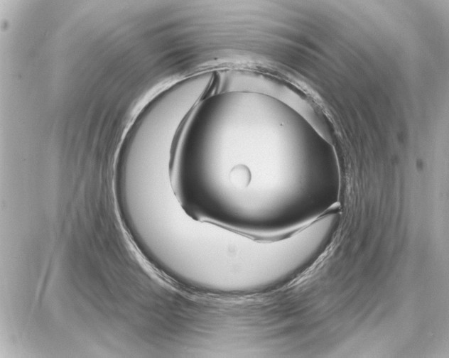 X0000087681034200705251639