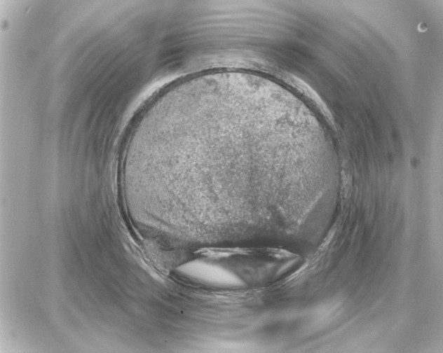 X0000087681035200705251639