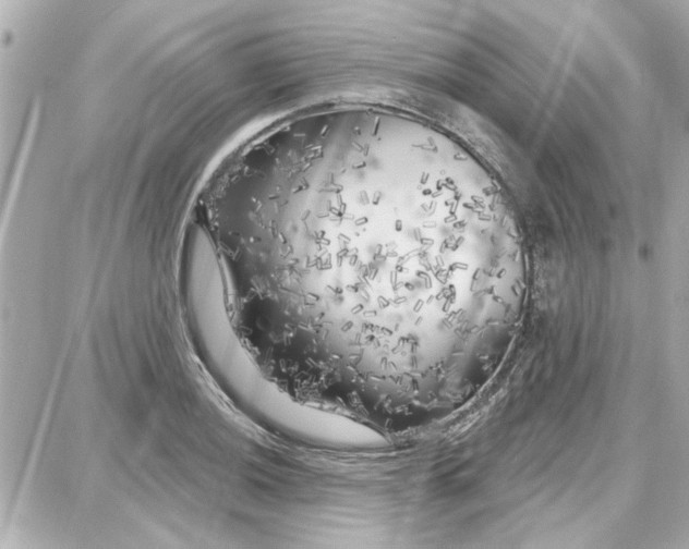 X0000087681036200705251639