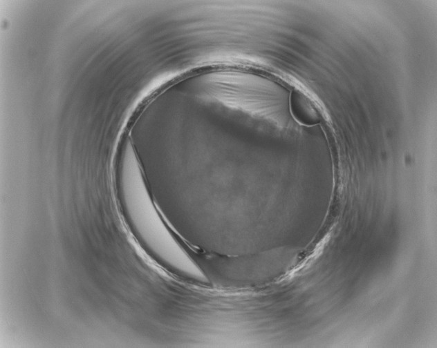 X0000087681037200705251639