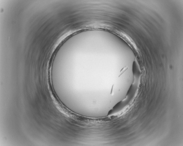 X0000087681039200705251639