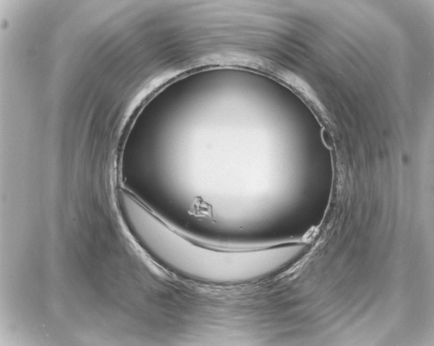 X0000087681040200705251639