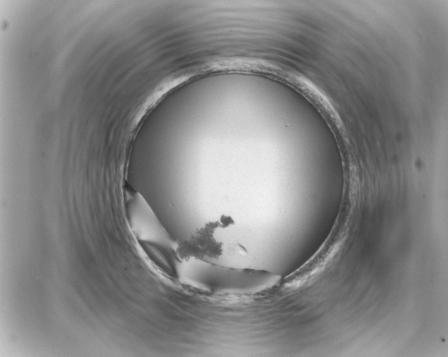 X0000087681041200705251639