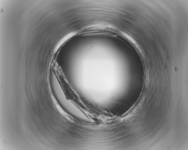 X0000087681042200705251639