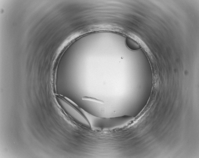 X0000087681043200705251639