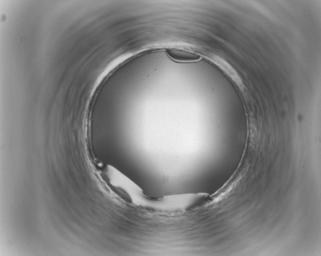 X0000087681044200705251639