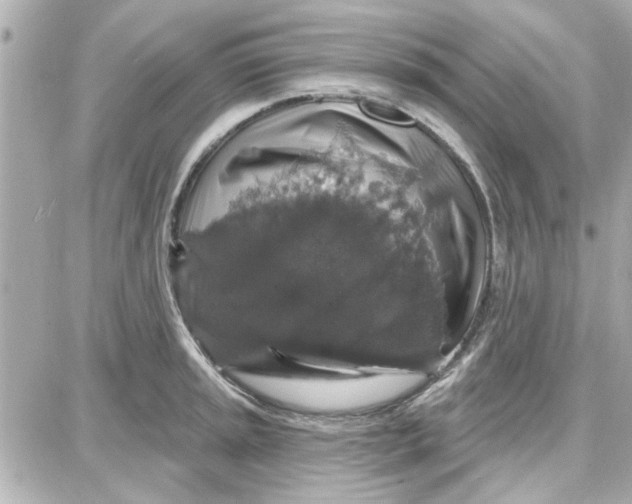 X0000087681045200705251639