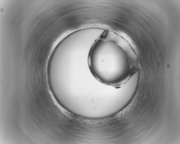 X0000087681046200705251639