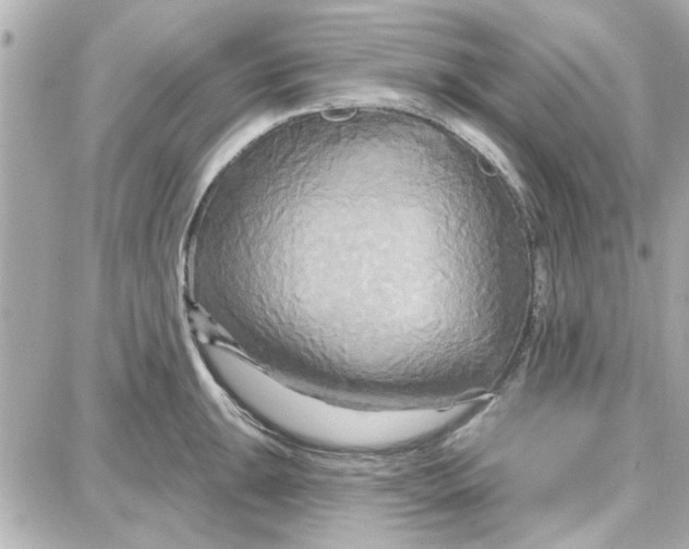 X0000087681047200705251639