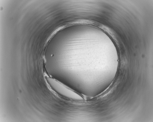 X0000087681049200705251639