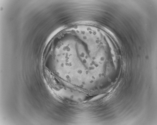 X0000087681050200705251639