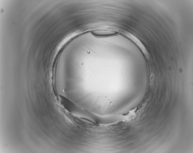 X0000087681051200705251639