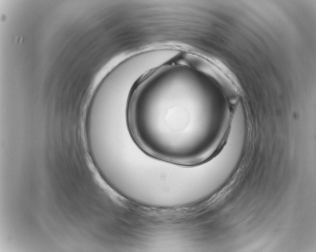 X0000087681054200705251639