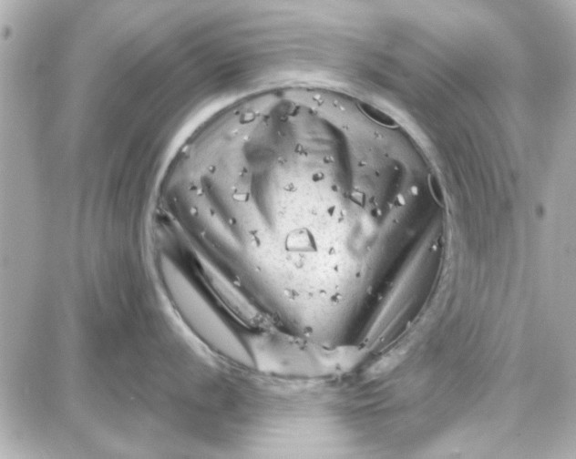 X0000087681056200705251639