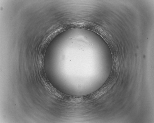 X0000087681058200705251638