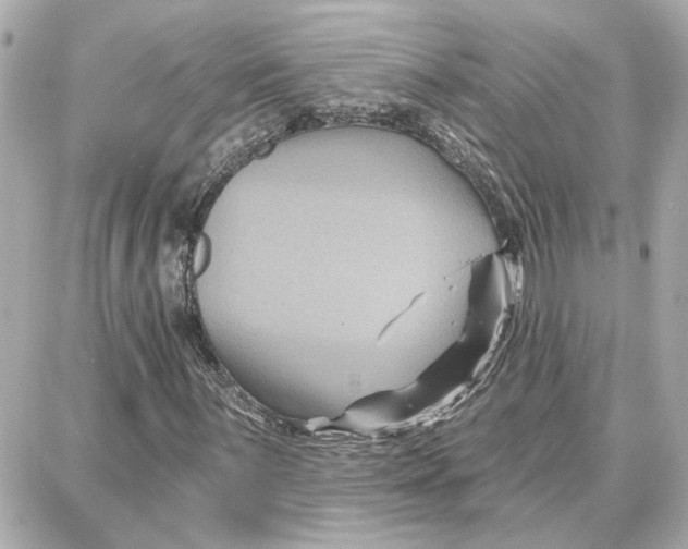 X0000087681059200705251638