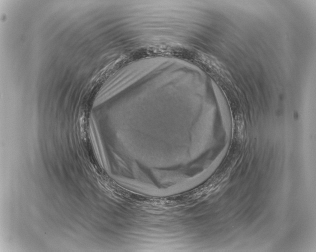 X0000087681060200705251638