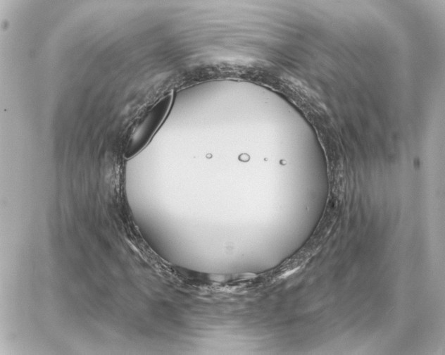 X0000087681061200705251638