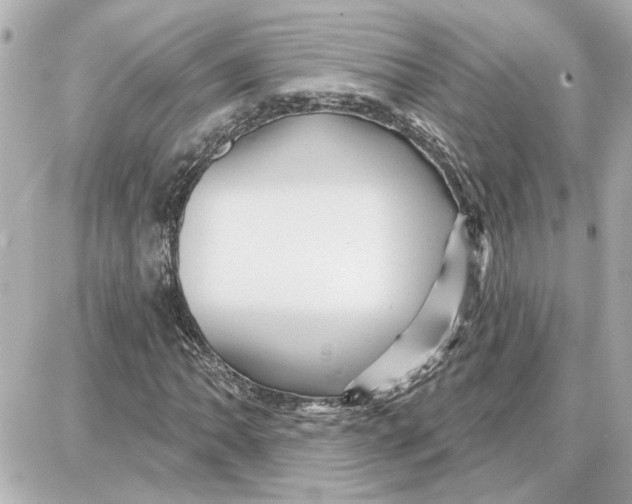 X0000087681062200705251638