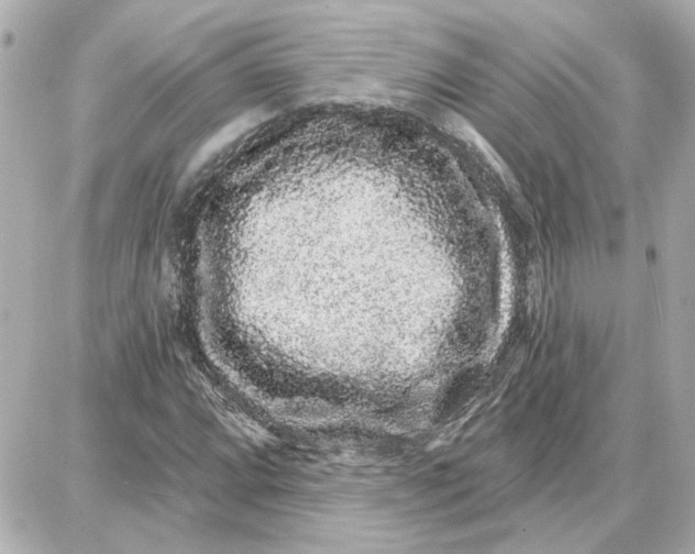 X0000087681064200705251638