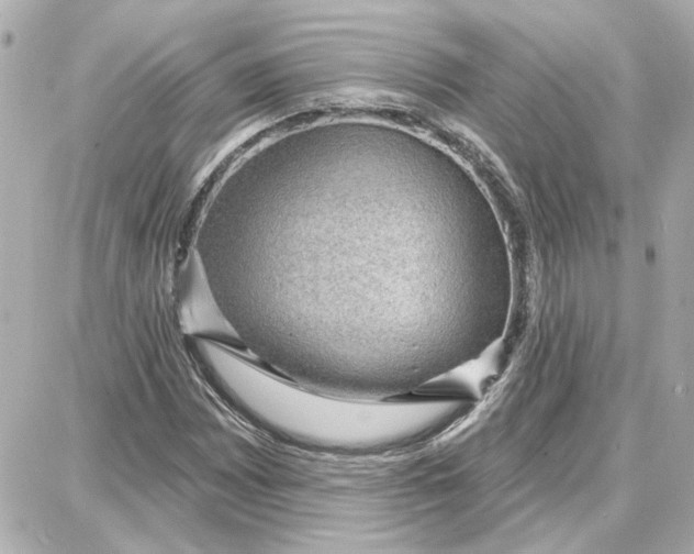 X0000087681065200705251638