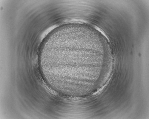 X0000087681066200705251638