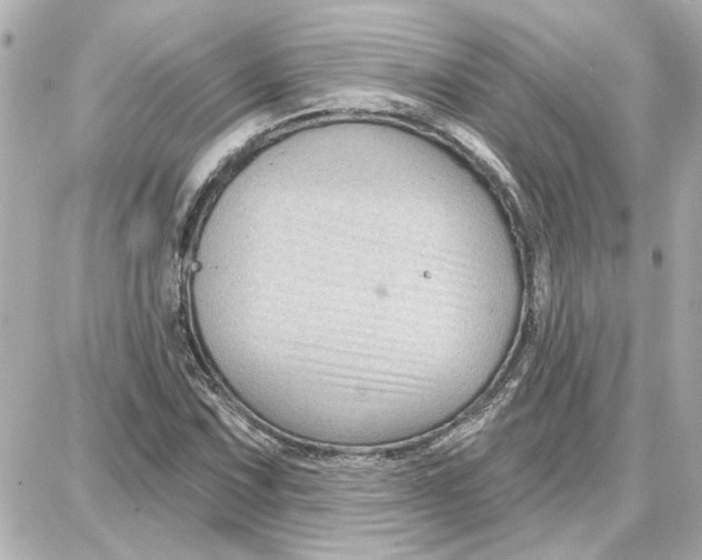 X0000087681067200705251638