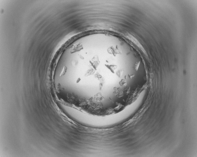 X0000087681068200705251638