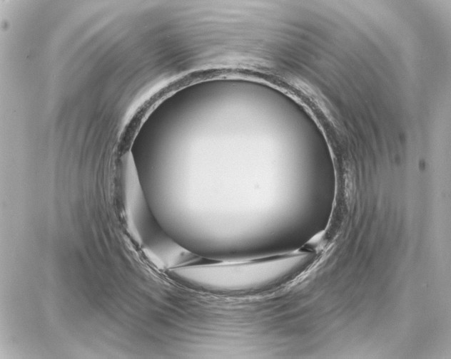 X0000087681069200705251638