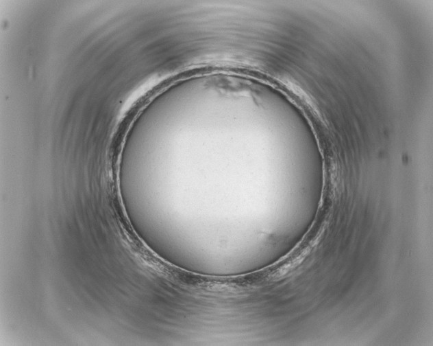 X0000087681070200705251638