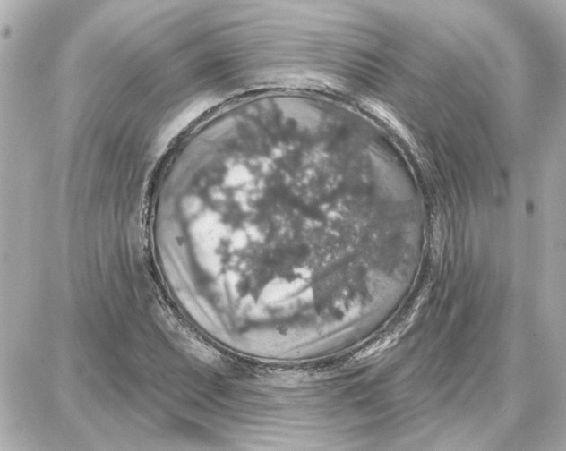 X0000087681071200705251638