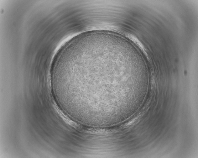 X0000087681072200705251638