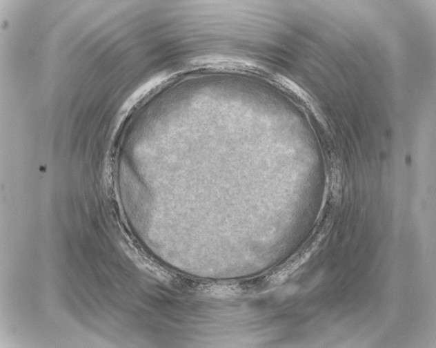 X0000087681074200705251638