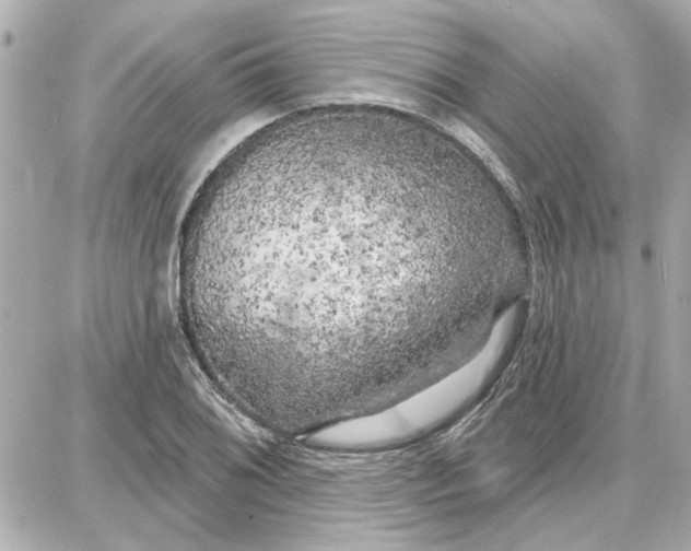 X0000087681076200705251638