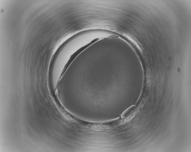 X0000087681077200705251638