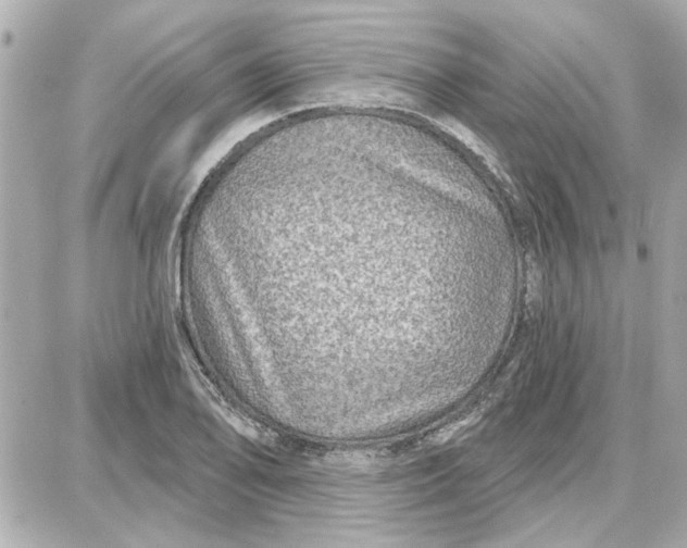 X0000087681078200705251638